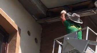 Yüksekova'da Mahsur Kalan Güvercin İtfaiye Ekiplerince Kurtarıldı
