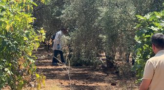 Antalya'da zeytinlikte elleri bağlı genç ölü bulundu