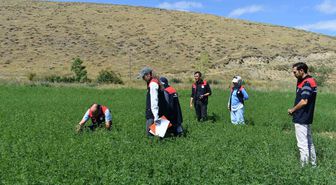 Bayburt'ta Tarım Arazilerinde Üretim Planlaması Kontrolleri Sürüyor