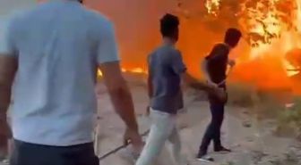 Birecik'te ağaçlık alanda yangın paniği