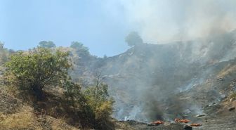 Adıyaman'da Çöplük Yangını Ormanlık Alana Sıçradı