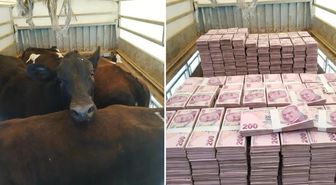 Düştüğü not manidar! Kayserili besicinin paylaşımına bakın