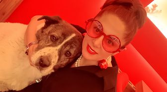 Esenyurt'ta Sahipli Köpek Alaş Belediye Barınağında Ölü Bulundu; Şenel Çifti Otopsi ve Adalet İstiyor