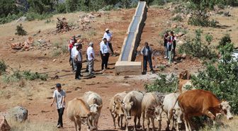 Siirt'te Mera Projeleriyle Besicilere Konfor