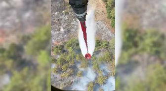 Muğla'da ziraat alanındaki yangın ormanlık alana sıçradı