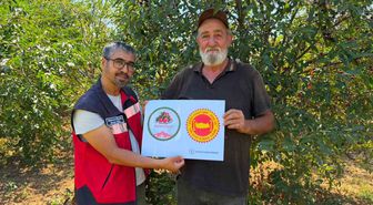 Şaphane Vişnesi İçin Coğrafi İşaret Denetimi Sürüyor