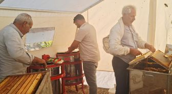 Adıyaman Sincik'te Arıcılar Zorlu Sezonun Ardından Bal Hasadına Başladı