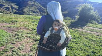 Erzincan Tulum Peyniri Üreticileri: Zorlu Yayla Koşullarında Geleneksel Üretim, Ama Kazanan Aracılar