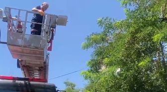 Bitlis'te mahsur kalan karga itfaiye ekiplerince kurtarıldı