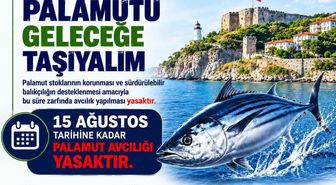 Sinop'ta Palamut Avcılığı 15 Ağustos'a Kadar Yasak