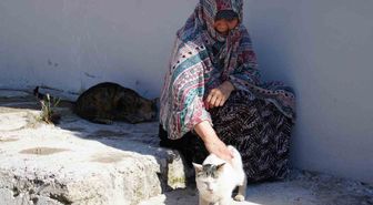 Bayburt'ta 73 Yaşındaki Hatice Nine, 10 Yıllık Kedisini Kaybetti: 'Beni Bekliyordu'