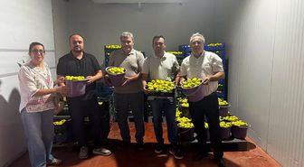 Buharkent'te Fusarium'a karşı incir kontrol ve bilgilendirme