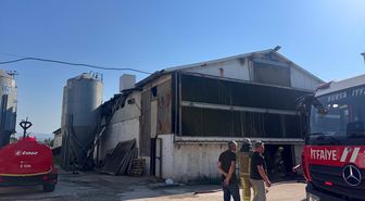 Mudanya'da tavuk çiftliğinde yangın: 12 bin tavuk telef oldu