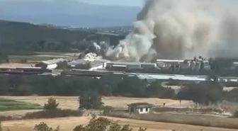 Mudanya'da Tavuk Çiftliğinde Yangın