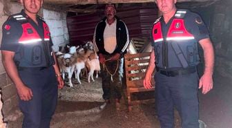 Kayıp 15 küçükbaş hayvan ormanlık alanda bulundu