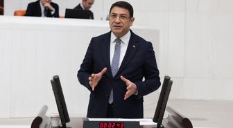 Şahin: 'Eşsiz demokrasi' denilemez