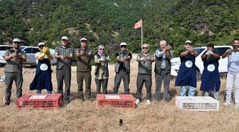 Manisa'da doğaya 1200 kınalı keklik salındı
