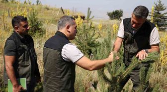 Erzurum'da Ağaçlandırma ve Erozyon Kontrol Çalışmaları Yerinde İncelendi