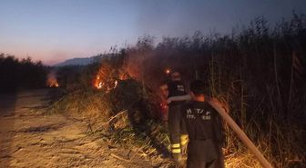 Hatay'da Kamışlık Yangını Kontrol Altına Alındı