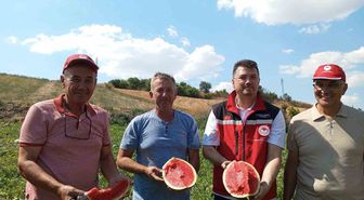 Tekirdağ'da Karpuz Hasadı Başladı