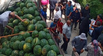 Zile'de Üreticiden 27 Ton Karpuz İkramı