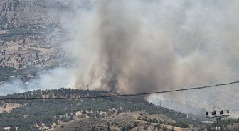 Adıyaman Gerger'de Orman Yangını