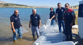 Burdur'daki göletlere yavru sazan bırakıldı