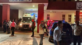 Çüngüş'te İnek Sahibini Yaraladı