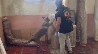 Kastamonu'da 19 Adrese Uyuşturucu Operasyonu: 15 Gözaltı