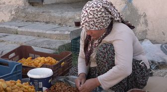 Malatyalı Kayısı Üreticilerinden TMO'ya Müdahale Çağrısı: 'Fiyat Maliyetin Altında'