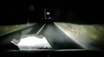 Orhangazi'de Domuz Çarpan Otomobilde Büyük Hasar