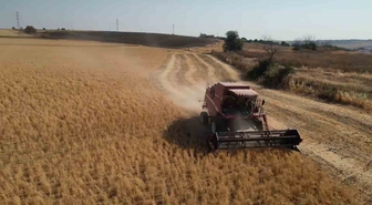 Tekirdağ'da Sertifikalı Nohut Tohumluğu Hasadı Gerçekleştirildi