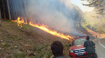 Uludağ yolu kenarında orman yangını