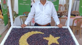 Çal Ziraat Odası Başkanı'ndan TMO'ya Kuru Üzüm Fiyatı Çağrısı: En Az 150 Lira