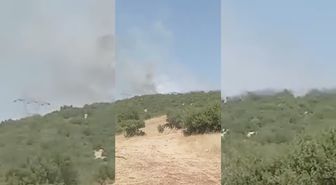 Besni'de Orman Yangını Kontrol Altına Alındı