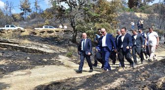 Çine Yangın Bölgesinde İnceleme
