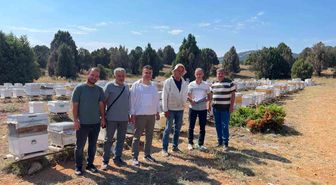 Beyşehir'de arılı kovan tespit ve sayım çalışmaları