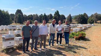 Beyşehir'de Arıcılık ve Huzurevi Gelişmeleri