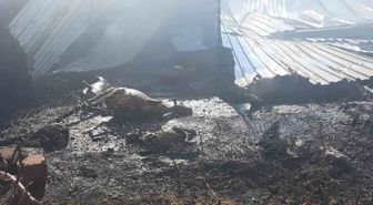Niğde'de çiftlik yangını: 250 küçükbaş hayvan telef oldu