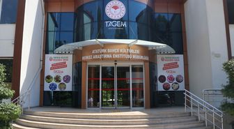 Yalova'da aronya katma değerli ürüne dönüşüyor