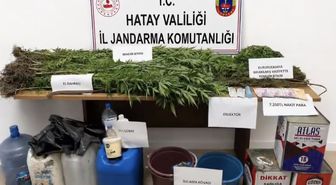 Hatay'da Uyuşturucu Operasyonu: 144 Kök Kenevir ve 650 Gram Kubar Ele Geçirildi
