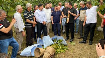 Giresun'da fındık hasadı öncesi kemençeli etkinlik