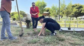 Adliye Bahçesine 10 Fidan Dikerek Uzlaştı