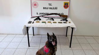 Bolu'da silah operasyonu: 1 tutuklama