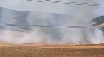 İnegöl'de Tarlayı Ateşe Veren 16 Yaşındaki Şüpheli Yakalandı