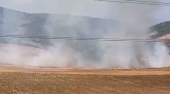 İnegöl'de Tarla Yangını: 16 Yaşındaki Şüpheli Gözaltında