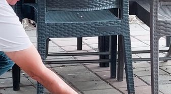 Çay Bahçesinde Sincap Sürprizi: Elden Çekirdek Yedi