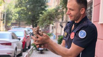 İnegöl'de Yağmur Borusuna Sıkışan Yavru Kedi Kurtarıldı