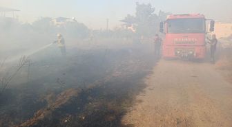 Hassa'da Zeytinlik Yangını Kontrol Altına Alındı