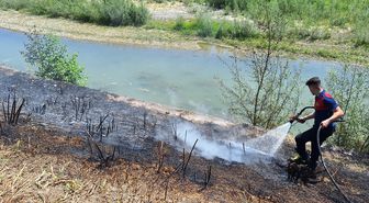 Alaplı'da otluk yangın söndürüldü